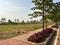 Marasandra Plot View 2