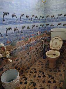 Bathroom Image of 750 Sq.ft 2 BHK Builder Floor for rent in Padmavati Nagar Tirupathi for Rs. 10000