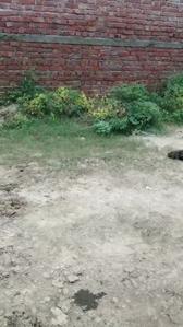 Residential Plot