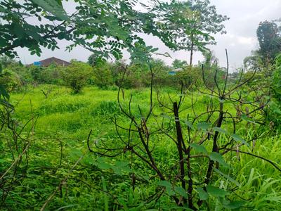 Image of 108900 Sq.ft Residential Plot / Land for sale in Murbad, Thane for Rs. 12700000
