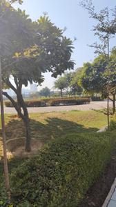 Image of 9000 Sq.ft 1 BHK Farm House for sale in Manesar, Gurgaon for Rs. 20000000