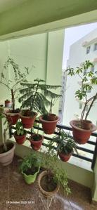 Balcony Image of 1411 Sq.ft 3 BHK Apartment / Flat for sale in REPL Rajvansh Residency, Aurangabad Khalsa Lucknow for Rs. 9595000