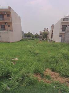Sector 66 Plot View 3