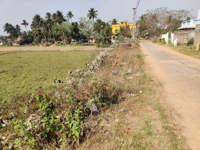 Image of 12200 Sq.ft Residential Plot / Land for sale in Balianta, Bhubaneswar for Rs. 21000000