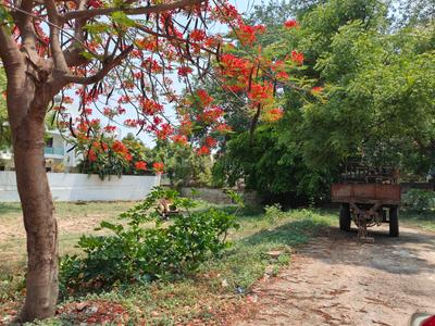 Image of 760 Sq.ft Residential Plot / Land for sale in Sainikpuri, Secunderabad for Rs. 95000000