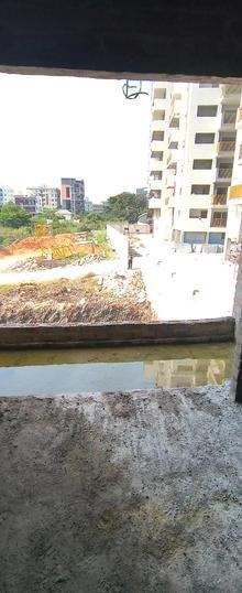 Golden rose Main Image 1