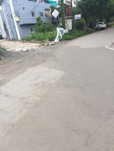 Residential Plot
