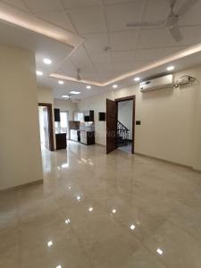 Hall Image of 2000 Sq.ft 3 BHK Builder Floor for rent in Sector 36 Noida for Rs. 50000
