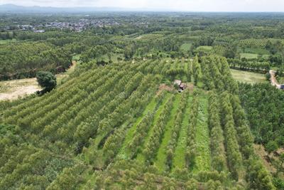Image of 20400 Sq.ft Residential Plot / Land for sale in Biharigarh, Saharanpur for Rs. 50000000
