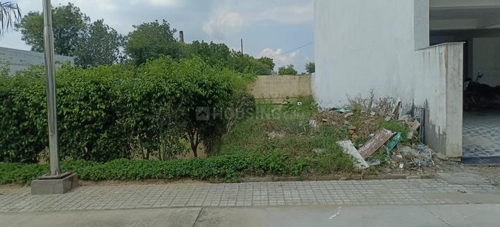 Soha Neal City Main Image 1