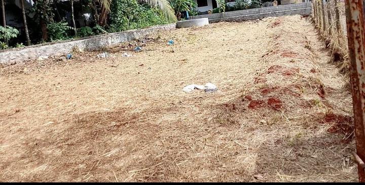 Kuttanellur Main Image 1