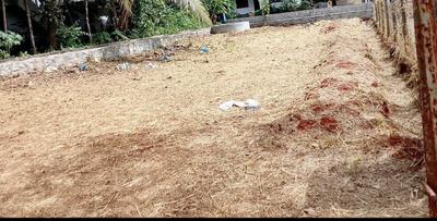 Kuttanellur Plot View 1