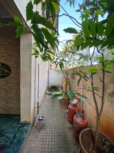 Balcony Image of 2500 Sq.ft 4 BHK Independent House for rent in Koregaon Park Pune for Rs. 65000