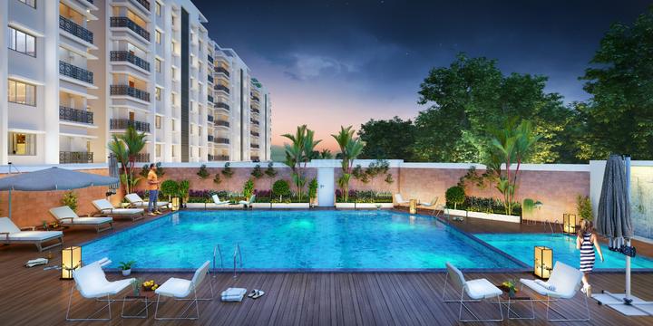 Shelcon Flora Main Image 1