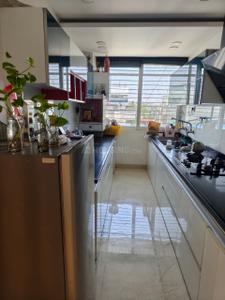 Kitchen Image of 1233 Sq.ft 2 BHK Apartment / Flat for rent in Vijay Nagar Indore for Rs. 31000