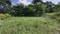 Chandsi Plot View 2