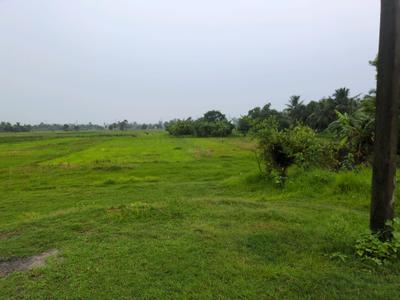 Sonarpur plot project kolkata golden city 2 Plot View 1