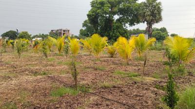 Image of 9600 Sq.ft Residential Plot / Land for sale in Walajabad, Chennai for Rs. 2400000