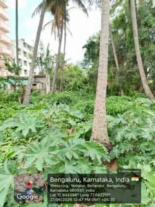 Image of 7600 Sq.ft Residential Plot / Land for sale in Yemalur, Bengaluru for Rs. 70000000