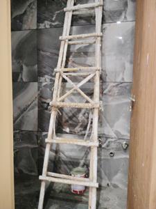 Common Bathroom Image of 550 Sq.ft 1 BHK Apartment / Flat for rent in Swaraj Homes Block K Saket RWA, Said-Ul-Ajaib New Delhi for Rs. 13000