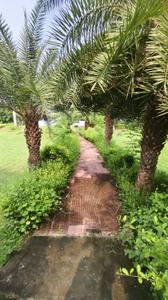 Image of 1350 Sq.ft Residential Plot / Land for sale in Marorgarhi, Aligarh for Rs. 3300000