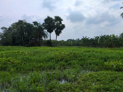 Image of 1800 Sq.ft Residential Plot / Land for sale in Joka, Kolkata for Rs. 425070