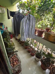 Balcony Image of 650 Sq.ft 1 BHK Apartment / Flat for rent in Sukhsagar Nagar Pune for Rs. 17500