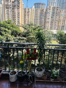 Balcony Image of 2050 Sq.ft 3 BHK Apartment / Flat for sale in Panchsheel Pratishtha, Sector 75 Noida for Rs. 29800000
