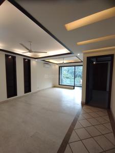 Hall Image of 1950 Sq.ft 3 BHK Builder Floor for sale in Safdarjung Enclave New Delhi for Rs. 52500000
