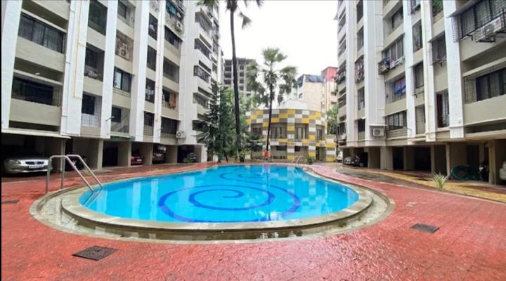 Bander Pakhadi, Kandivali West More Images 1