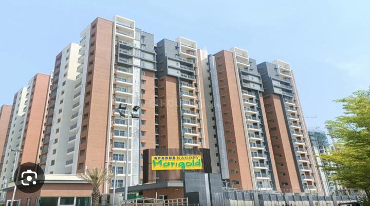 Aparna Kanopy Marigold Main Image 1