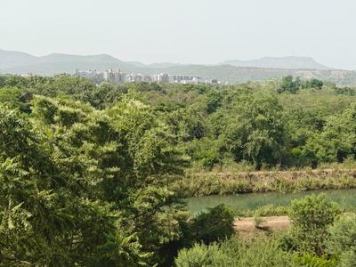 Image of 890 Sq.ft 2 BHK Apartment / Flat for sale in Nanded Sarang, Nanded, Pune for Rs. 8200000