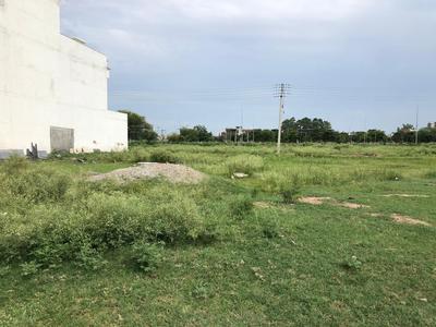 Residential Plot