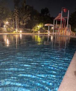 Balcony Image of 800 Sq.ft 1.5 BHK Apartment / Flat for rent in Alpine Viva, K R Puram Bengaluru for Rs. 31000