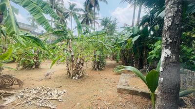 Image of 7405 Sq.ft Residential Plot / Land for sale in Chiyyaram, Thrissur for Rs. 12750000