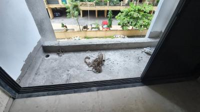Balcony Image of 1250 Sq.ft 2 BHK Apartment / Flat for sale in S K Residency, Ulwe Navi Mumbai for Rs. 10000000