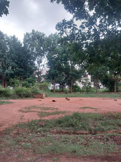 Dr.Shivaram Karanth Nagar, Jakkur Main Image 1
