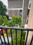 Sindhubhavan bunglow Balcony 2