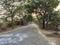 Alistonia Estate, Chi III Greater Noida Plot View 2