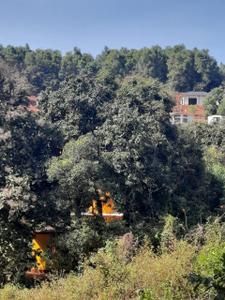 Image of 93200 Sq.ft Residential Plot / Land for sale in Kumta, Uttara Kannada for Rs. 86000000