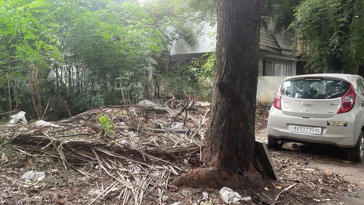 Stage 1 Main Image 1