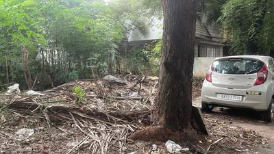 Stage 1 Plot View 1
