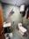 Saket Bathroom 1