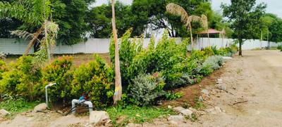 Image of 931 Sq.ft 2 BHK Farm House for sale in Shankarpally, Hyderabad for Rs. 16022081