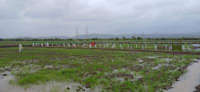 Image of 4000 Sq.ft Residential Plot / Land for sale in Harishchandra Pimpale, Navi Mumbai for Rs. 2800000