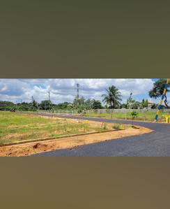 Dristi Habitat Plot View 2