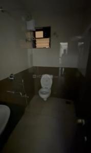Image of 1022 Sq.ft 2 BHK Apartment / Flat for rent in Edcon Rio Grande, Panjim, Goa for Rs. 55000