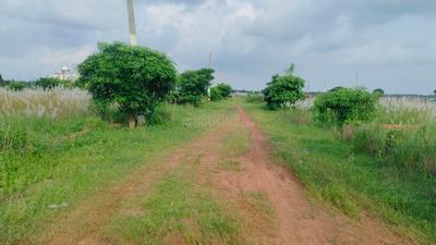 Image of 4000 Sq.ft Residential Plot / Land for sale in Khandagiri, Bhubaneswar for Rs. 28000000