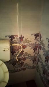 Bathroom Image of 750 Sq.ft 2 BHK Apartment / Flat for sale in Kanchrapara North 24 Parganas District for Rs. 1700000