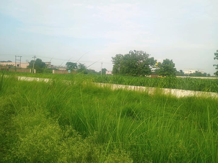 Viraj Residency Main Image 1